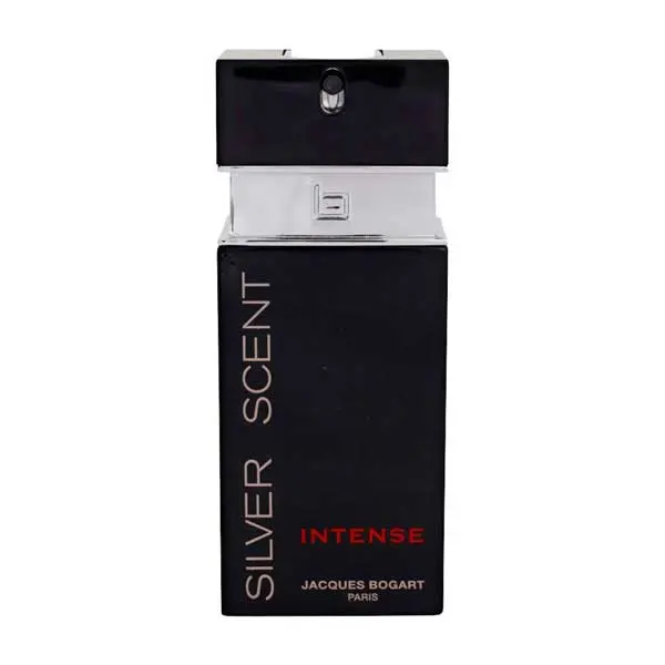 3355991003019 - SILVER INTENSE EDT 100 ML1.webp