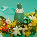 3360373048878 - CACHAREL EDEN EDP 50ML SPRAY1.webp