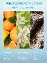 SHEGLAM HAIR Ice Revive4.2.webp